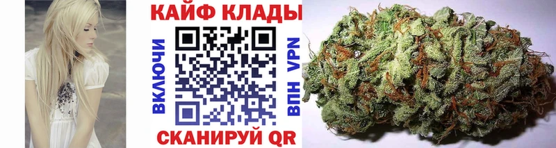 Где купить Новый Уренгой СК Кокаин Гашиш Каннабис