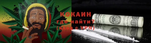 сатива Богданович