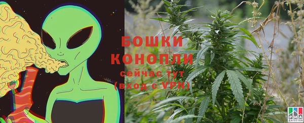 сатива Богданович