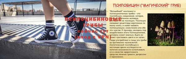 сатива Богданович